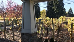Un pilier de pierre surmonté d’un élément blanc, une chaise en métal avec un coussin, et une vue sur un vignoble avec des rangs de vignes.
