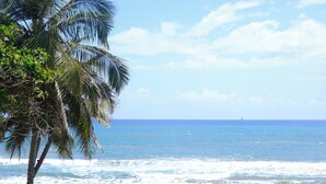 A beach with palm trees and a clear view of the ocean. - Great Oceanfront Condo with Private Pool on Beach (Cabarete)