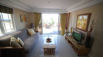 Smart TV, DVD player, books, stereo