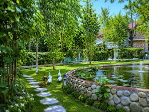 Garden view
