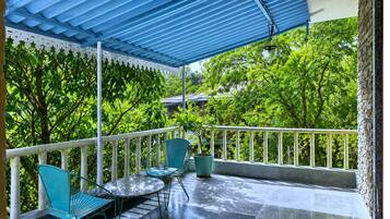 Premium tweepersoonskamer, uitzicht op tuin | Balkon