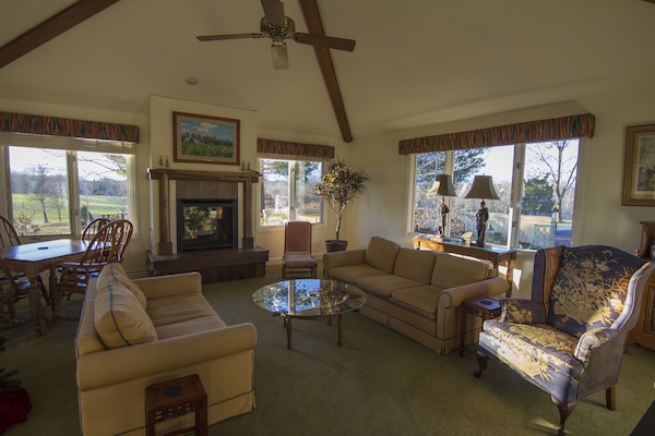 Gas fireplace in living room adds cozy warmth on winter days!
