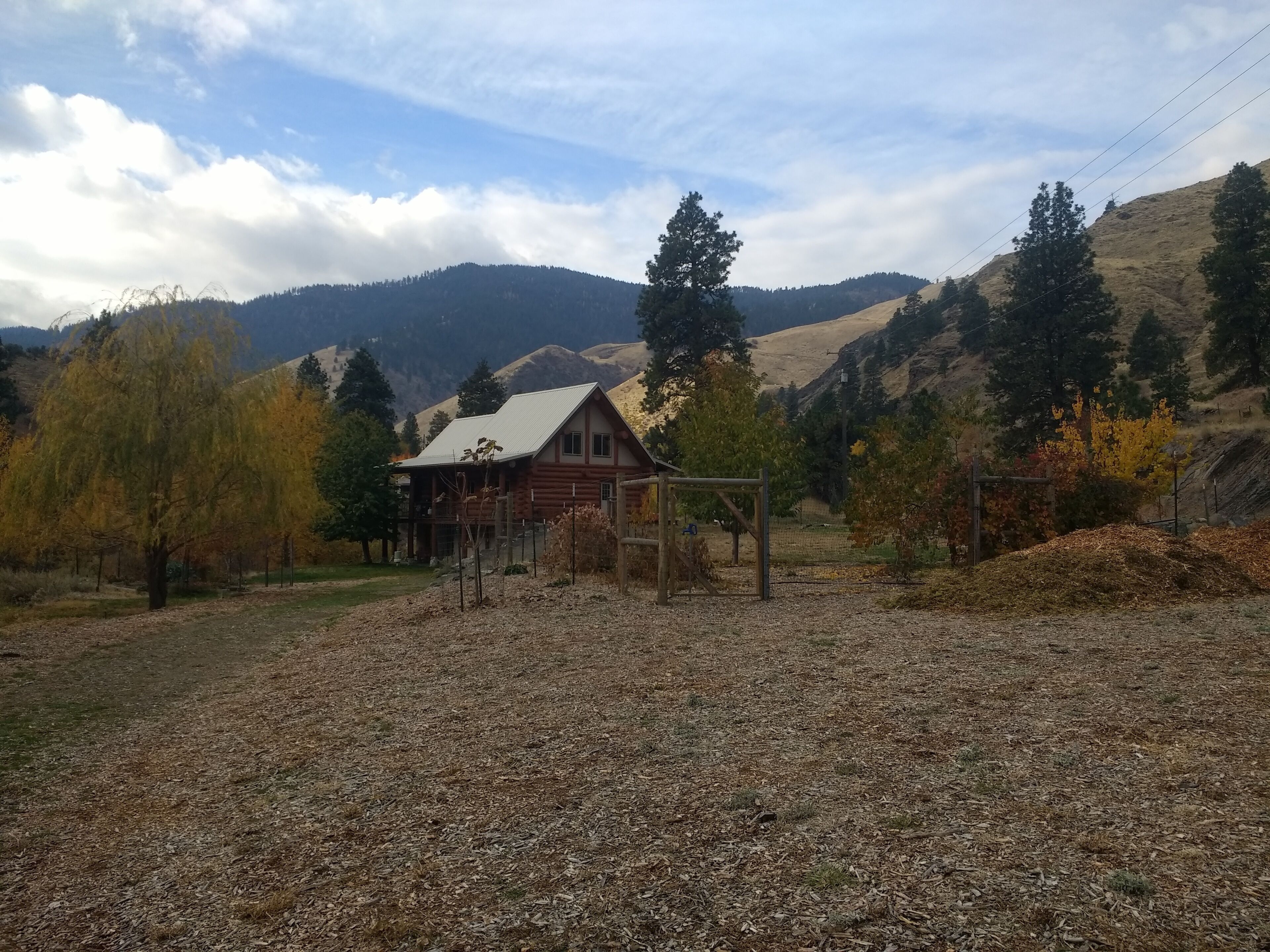 Eine rustikale Holzhütte mit Metalldach, umgeben von einem eingezäunten Hof und Herbstlaub.