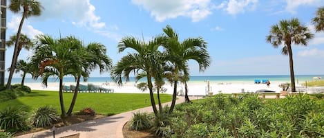 Playa en los alrededores