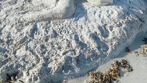 Una escultura de arena en la playa, con olas al fondo.