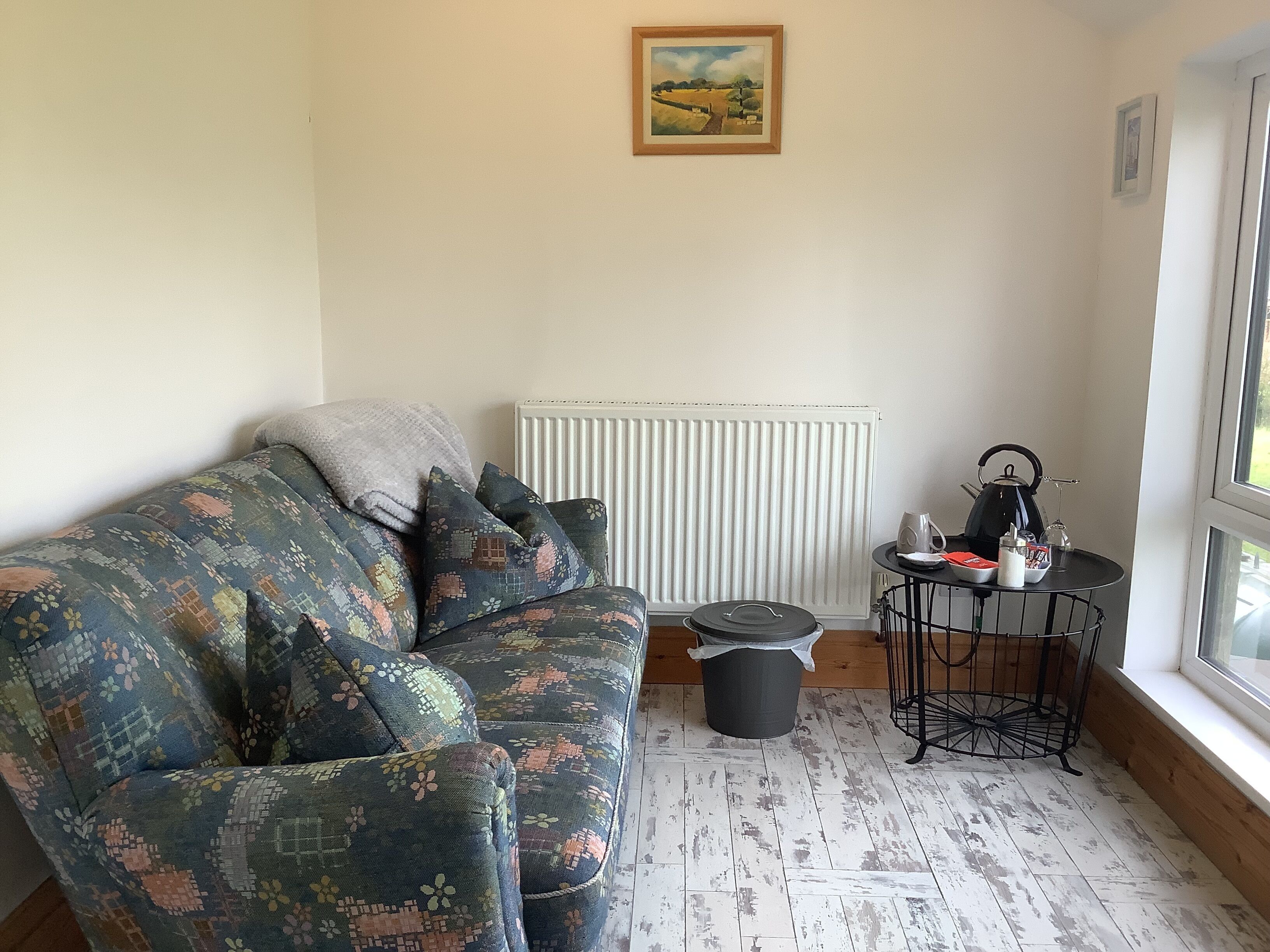 A cozy room with a patterned sofa, a radiator, a small trash bin, a kettle on a table, and a window with a view.