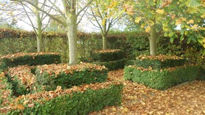A garden with neatly trimmed hedges and a path covered with fallen leaves. - Villa Farm Cottage (Ulceby)