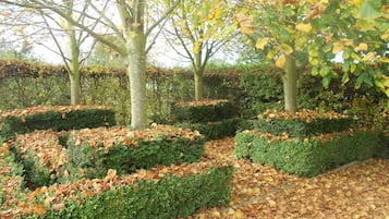 Suite, vista giardino (Cottage Suite) | Parco della struttura