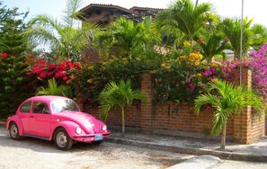 Property grounds - 2 BR/2Bth Sea & Mountain View Condo W/ Pool!  Short Walk to Best Beach! (Bucerias)
