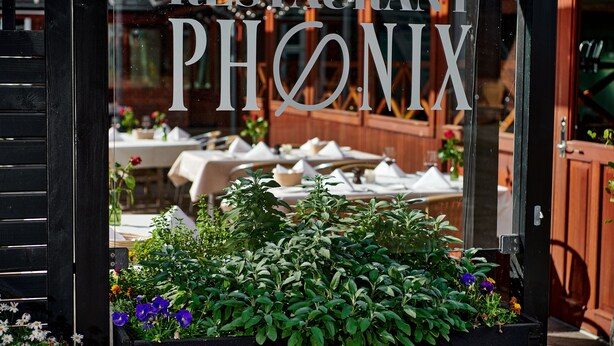 A restaurant window with the name 'RESTAURANT PHONIX' and a view of the outdoor seating area with tables and plants. - Hotel Phønix (Holstebro)