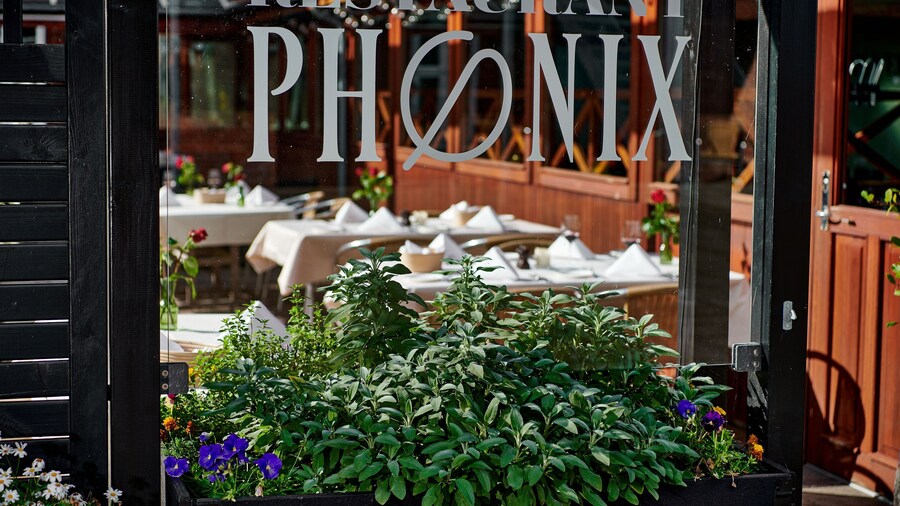 Hotel Phønix
