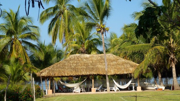 A thatched-roof hut with white lounge chairs and a hammock, surrounded by palm trees and a grassy area. - Casa Don Pepe (Barra de Potosi)