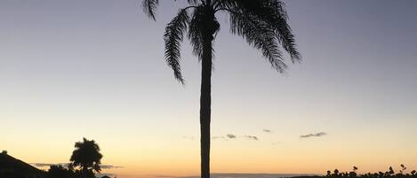 Comfort Apartment, Non Smoking | Beach/ocean view