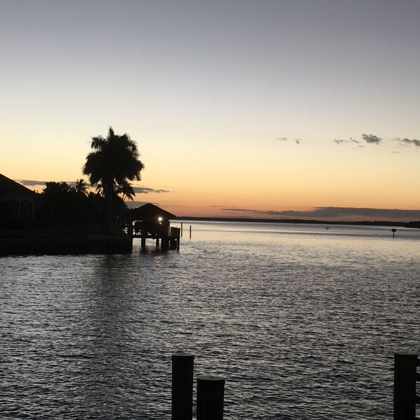 A waterfront view with a dock and a palm tree.
