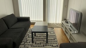 Ein Wohnzimmer mit einem dunklen Sofa, einem Couchtisch, einem Fernseher auf einem Schrank und einem gemusterten Teppich.