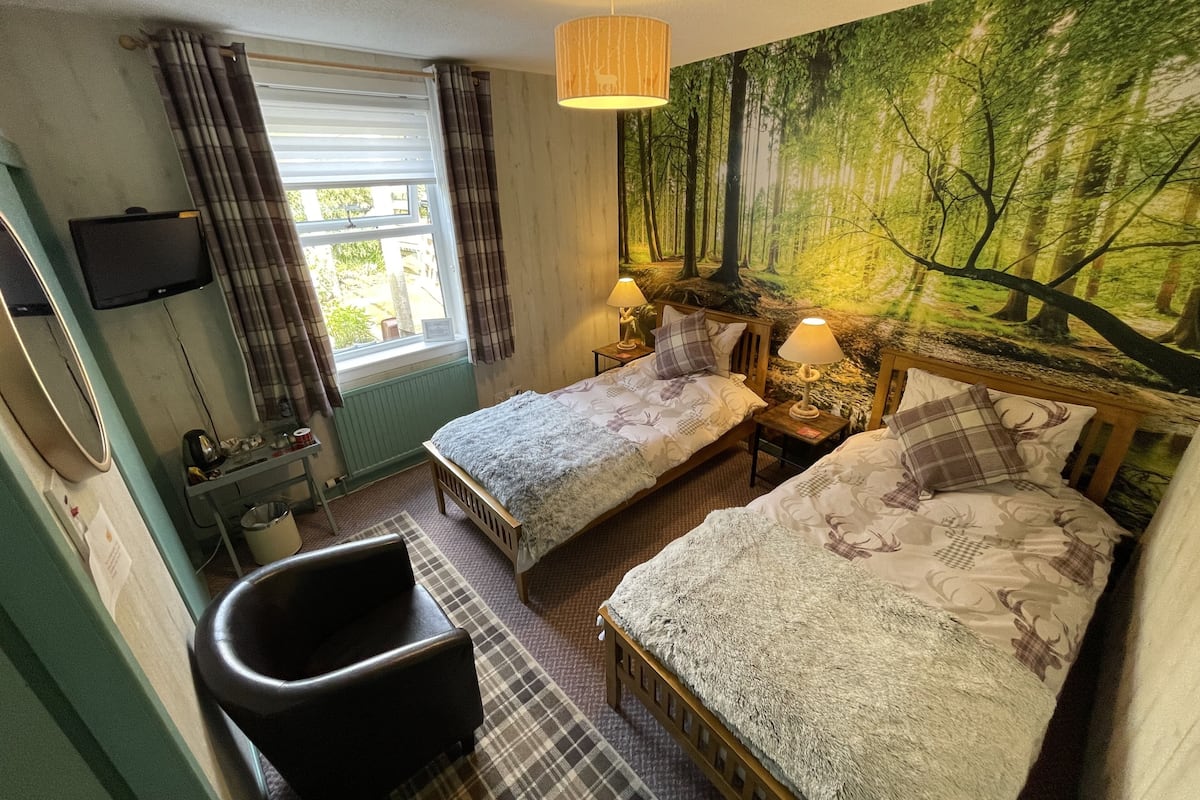Standard-Zweibettzimmer | Allergikerbettwaren, individuell dekoriert, individuell eingerichtet