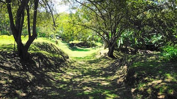 Ecotours