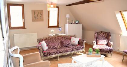 Le CĂ©leste - Appartement en duplex au cĆur du centre historique d'Obernai
