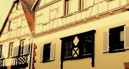 Le CĂ©leste - Appartement en duplex au cĆur du centre historique d'Obernai
