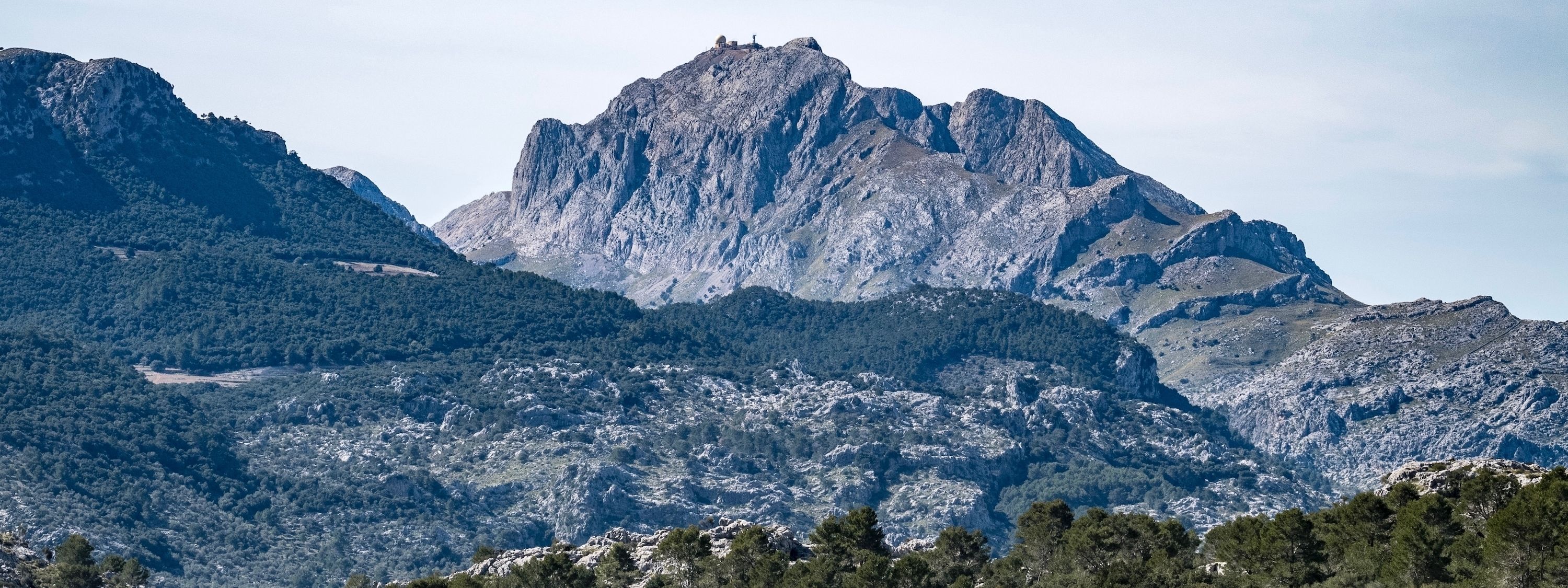 Photo - Agroturismo Son Alzines