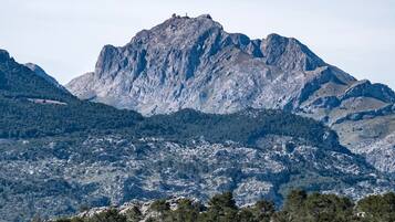 Paisaje montañoso con un pico rocoso destacado y zonas boscosas densas.