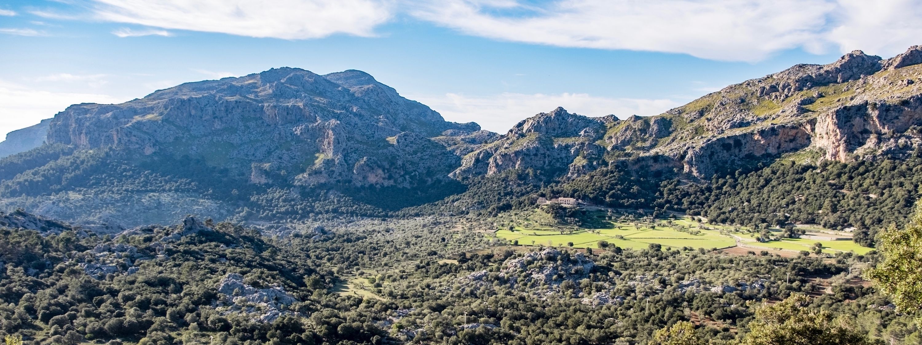 Photo - Agroturismo Son Alzines