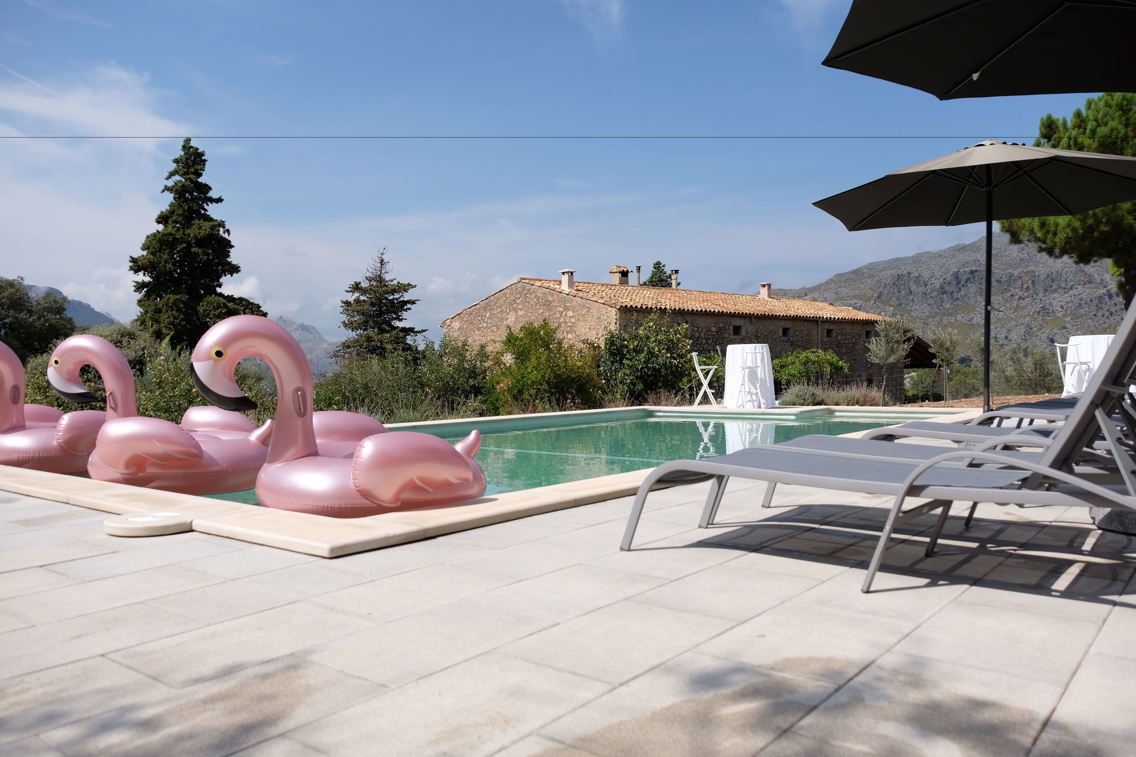 Outdoor pool, pool umbrellas, sun loungers