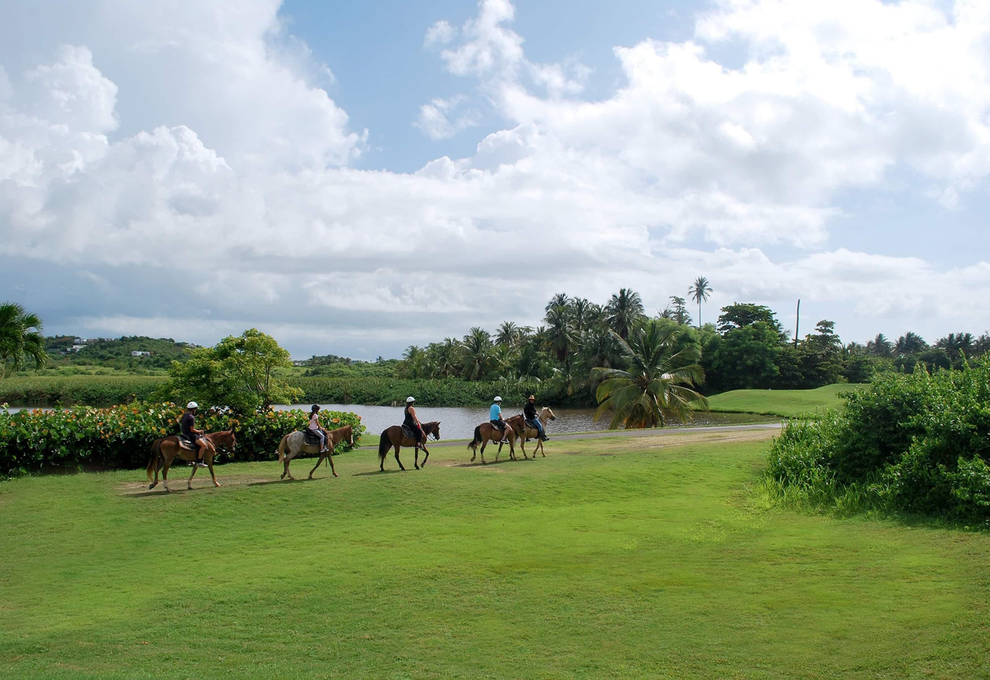 Horseback riding
