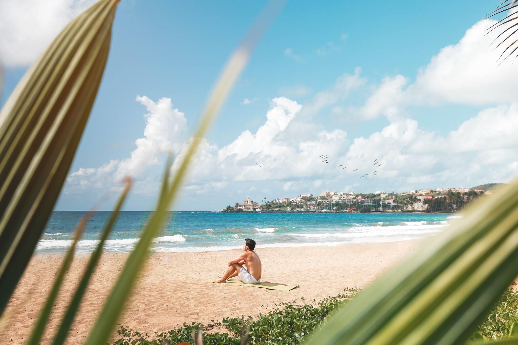 A beach scene with a person sitting on a mat, palm leaves in the foreground, and a coastal town in the background.