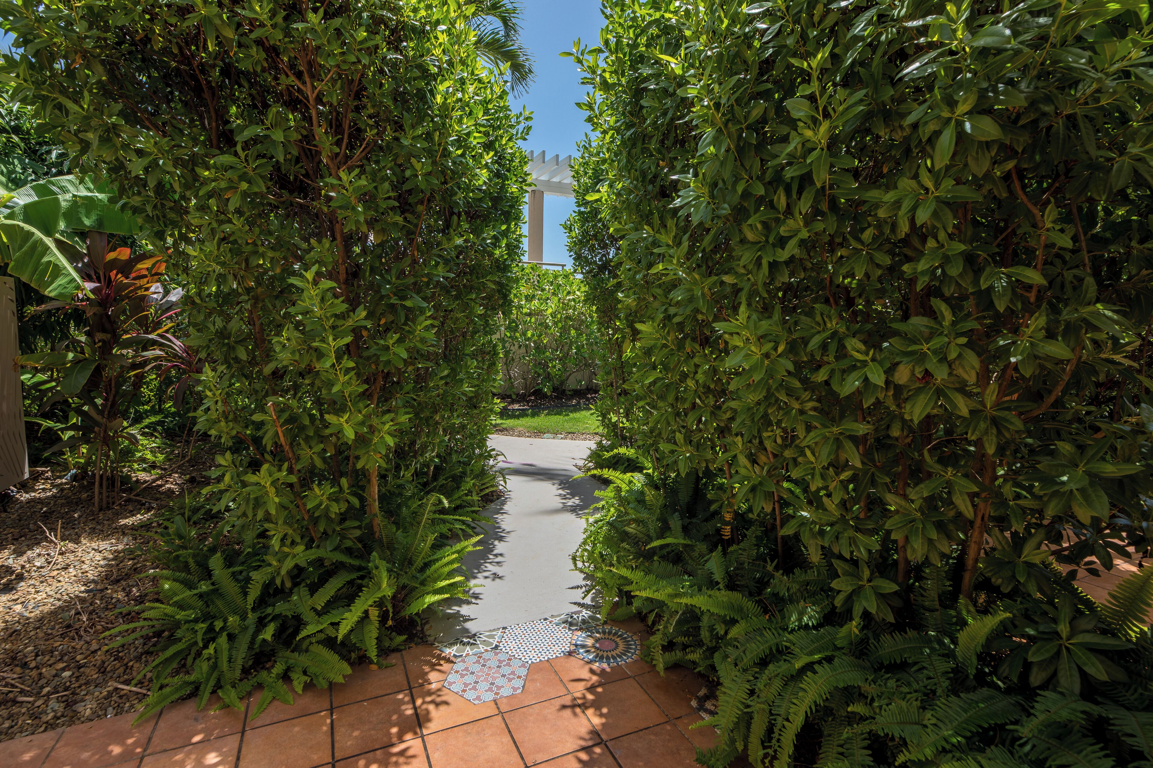 Vistas desde la habitación