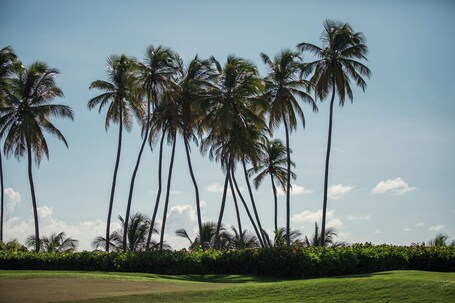 Wyndham Palmas Beach and Golf Boutique Resort - Image 55