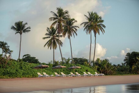 Wyndham Palmas Beach and Golf Boutique Resort - Image 56