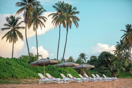 Wyndham Palmas Beach and Golf Boutique Resort - Image 17