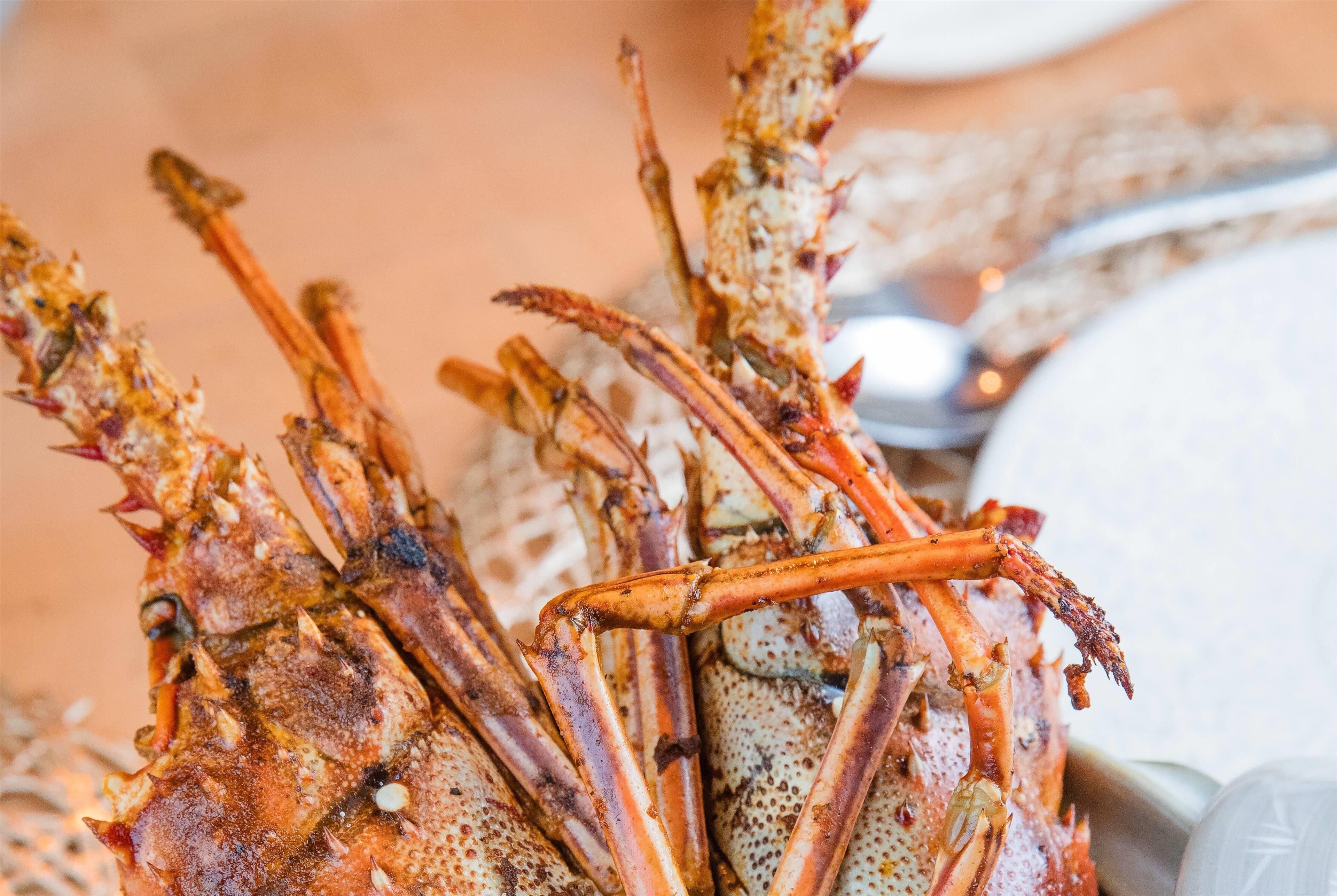 A close-up of cooked crabs with visible seasoning and a rustic presentation.