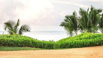 A sandy beach with palm trees and a view of the ocean.