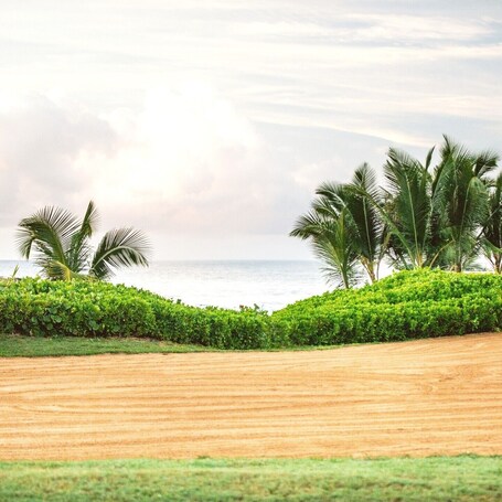 Wyndham Palmas Beach and Golf Boutique Resort - Image 58