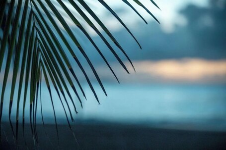 Wyndham Palmas Beach and Golf Boutique Resort - Image 62
