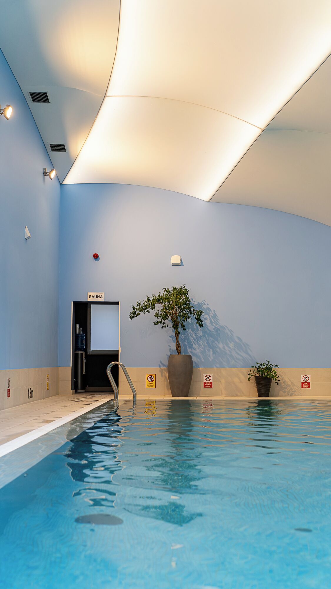 An indoor swimming pool with a sauna sign, a plant, and a no diving sign.