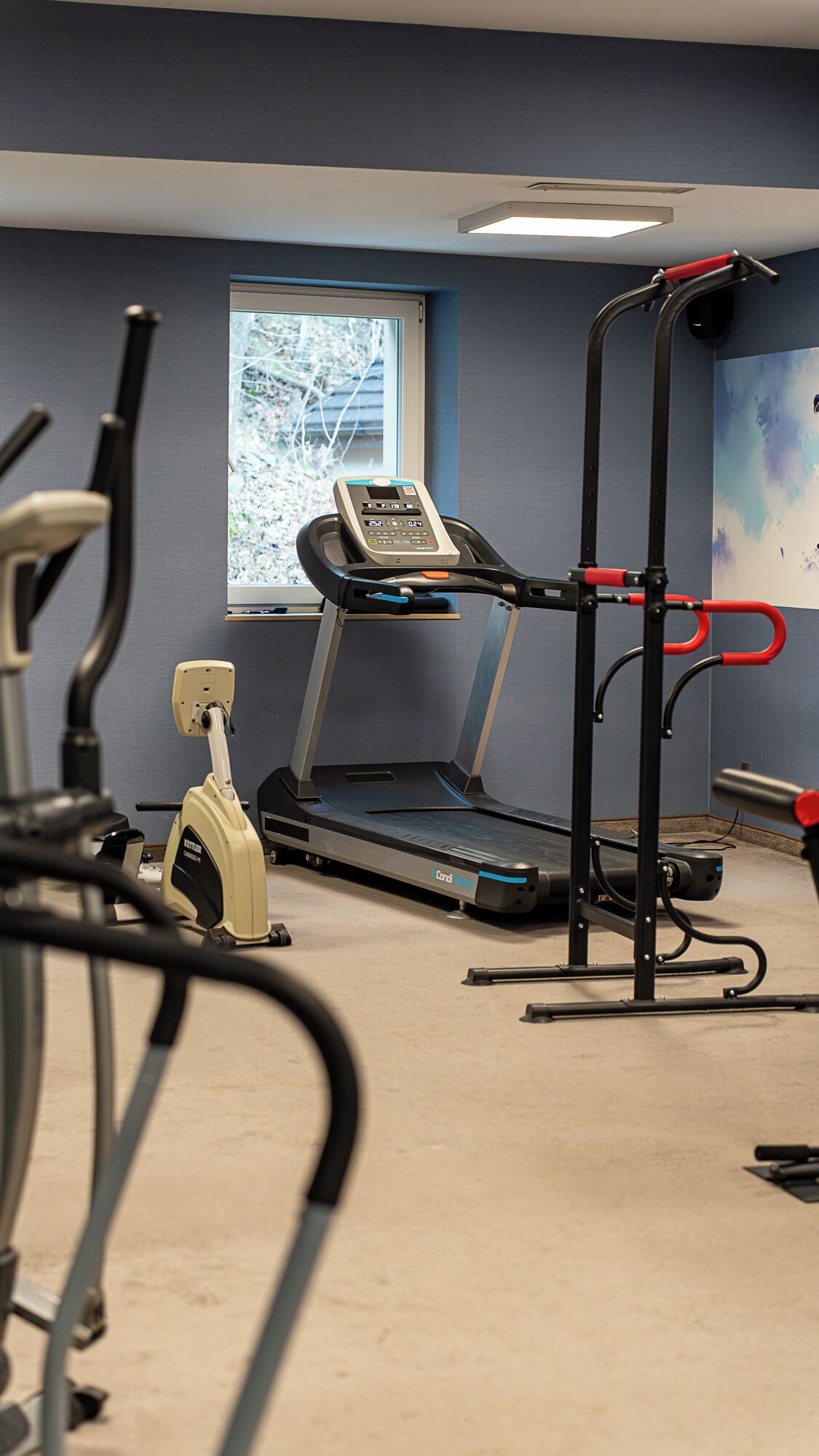 A gym with a treadmill, elliptical, and weight machine.
