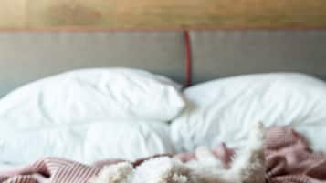 Ein kleiner Hund liegt auf einem Bett mit einer gestreiften Decke.