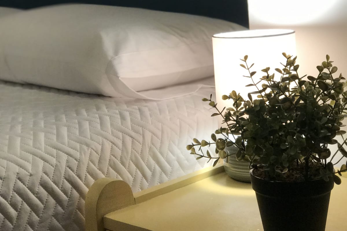 Ein ordentlich bezogenes Bett mit weißer Decke, ein Nachttisch mit Topfpflanze und eine Lampe.