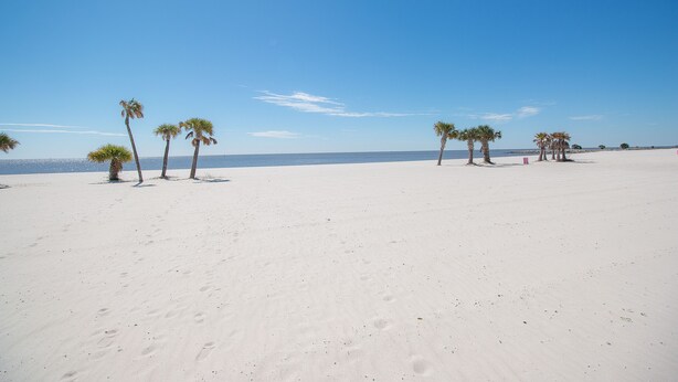 A sandy beach with palm trees and footprints. - Sea Breeze-Sea Breeze 402 Deluxe (Biloxi)