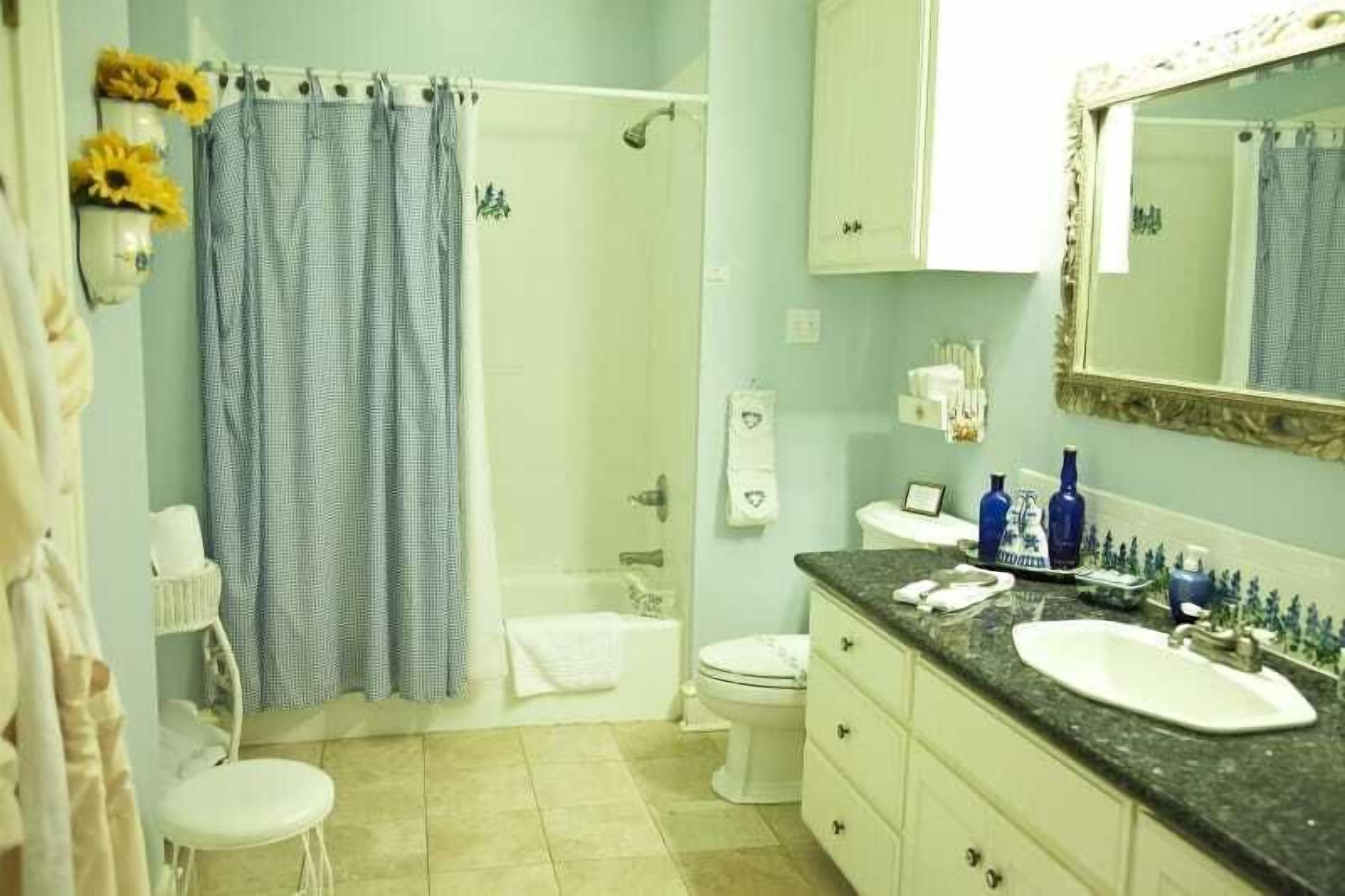 A bathroom with a shower, toilet, sink, and vanity.