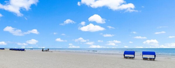 Beach nearby - Sea Rocket 2 - Ground Floor Paradise in North (Saint Petersburg)