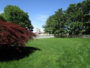 A grassy park area with trees and a white fence. - 4BR Home w/ Country Setting & Farmland Views (Lancaster, PA, USA) (Bird in Hand)