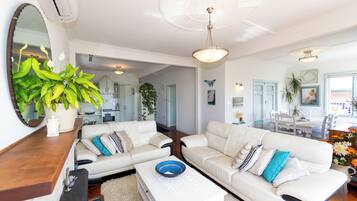 Smart TV, fireplace, DVD player, books