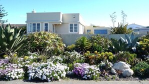 A residential area with a modern house, a garden with various plants, and a clear blue sky.