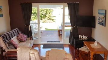 Televisio, DVD-soitin, kirjoja, videokirjasto