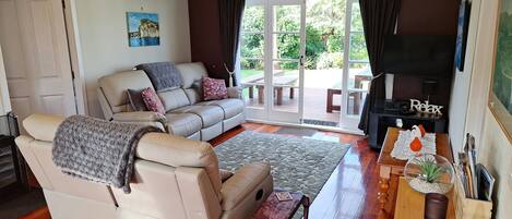 TV, DVD player, books, video library