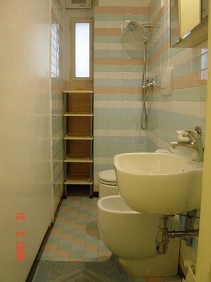 Shower, hair dryer, bidet, towels - romantic old roman home (rome)